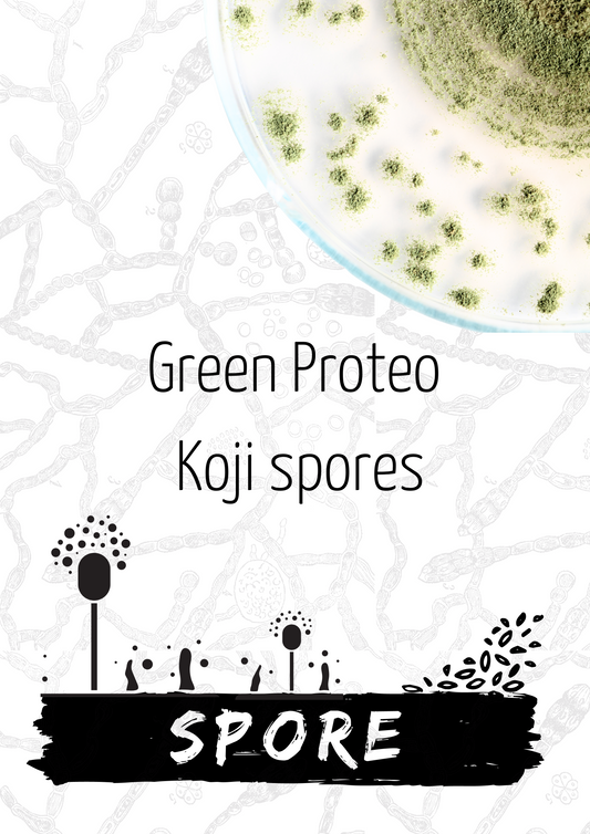 Green Proteo Koji Spores
