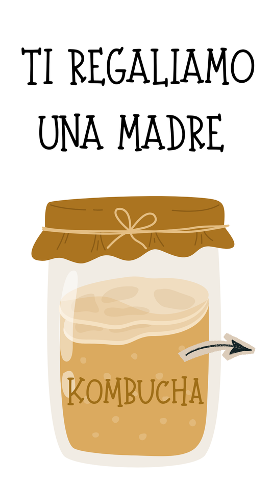 Kombucha SCOBY - FREE