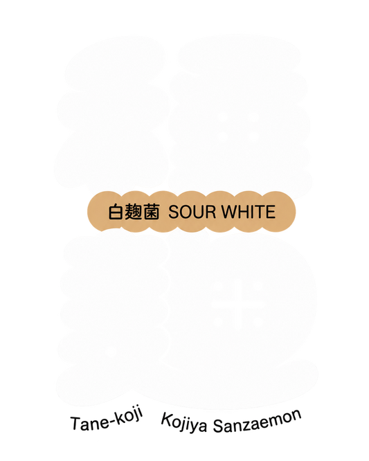 TANE-KOJI SOUR WHITE — White Koji 20 g