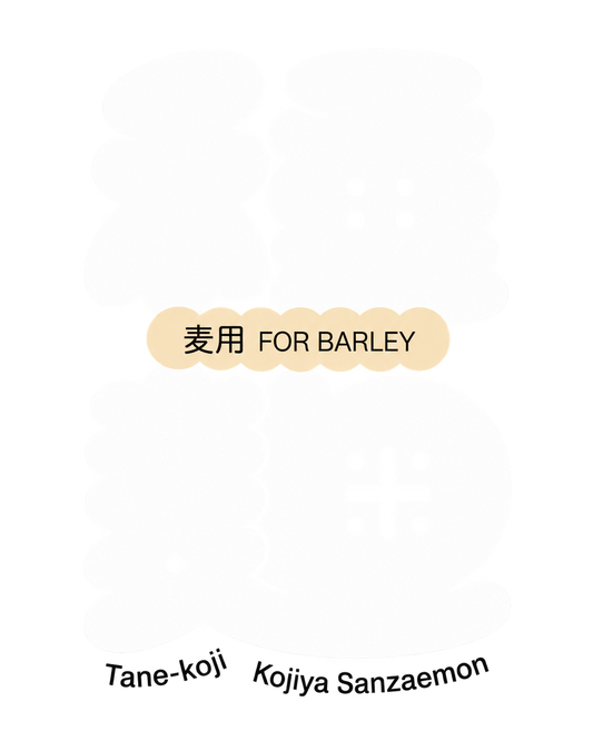 TANE-KOJI FOR BARLEY — Spore per Koji d'Orzo 20 g