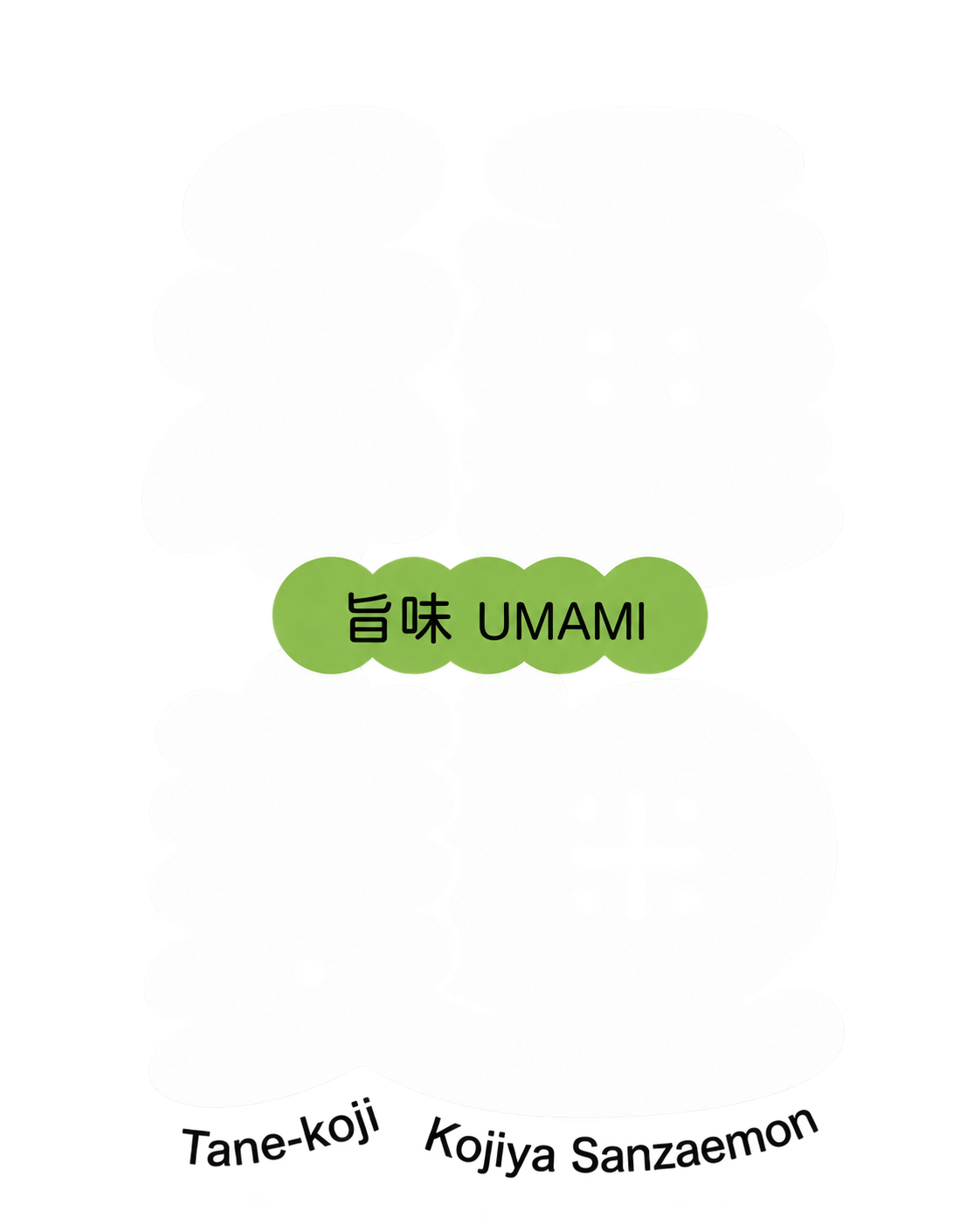 TANE-KOJI UMAMI — Spore ad alta attività proteolitica 20 g