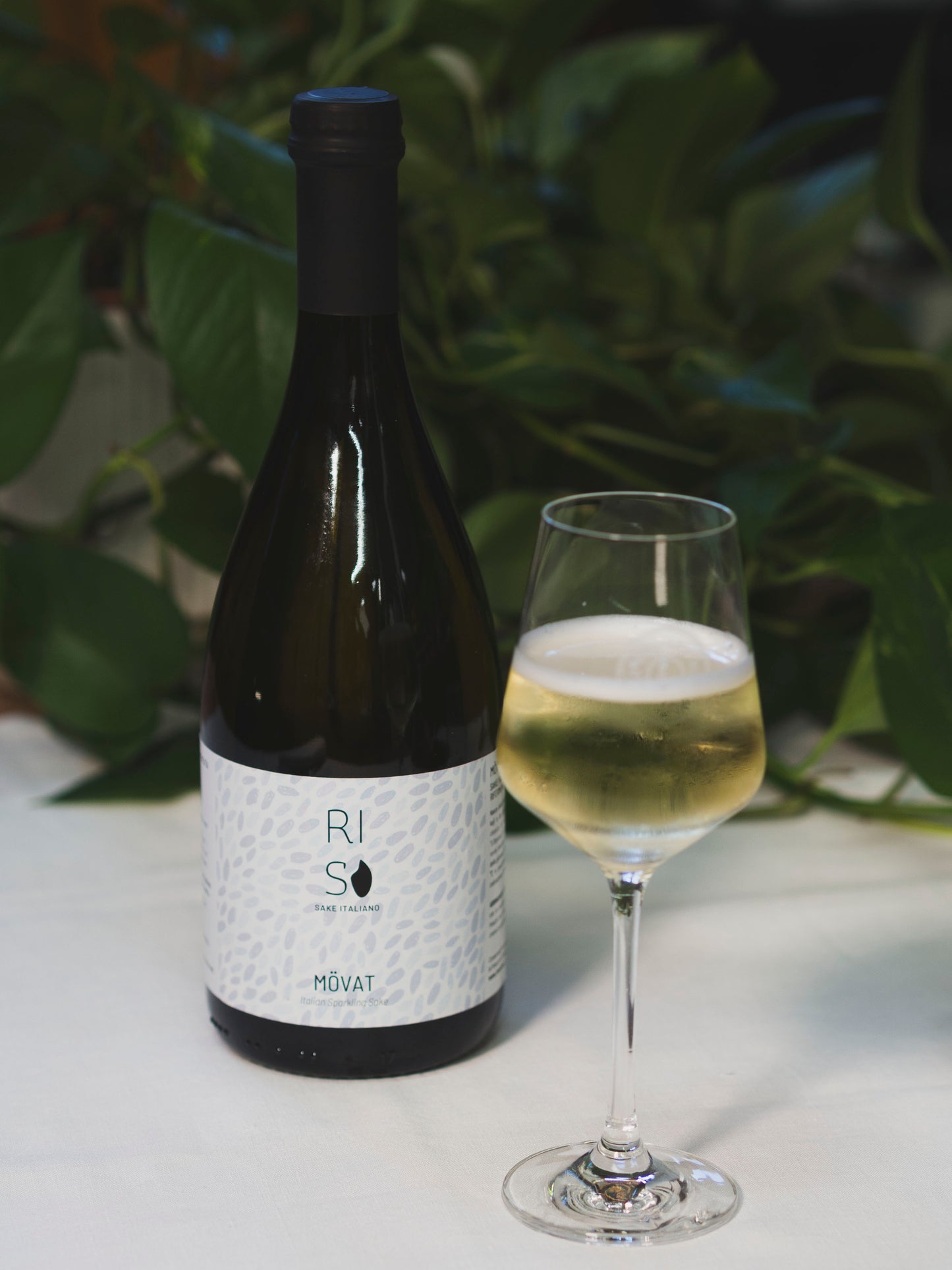 Mövat | Italian Sparkling Sake