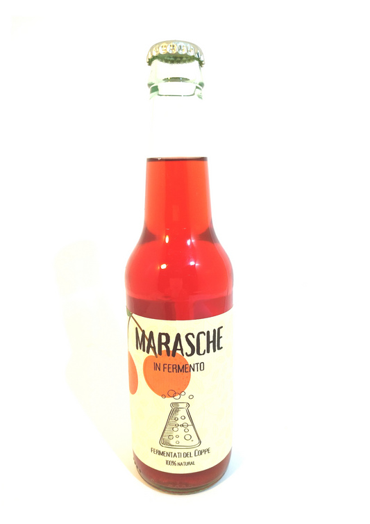 MARASCHE IN FERMENTO