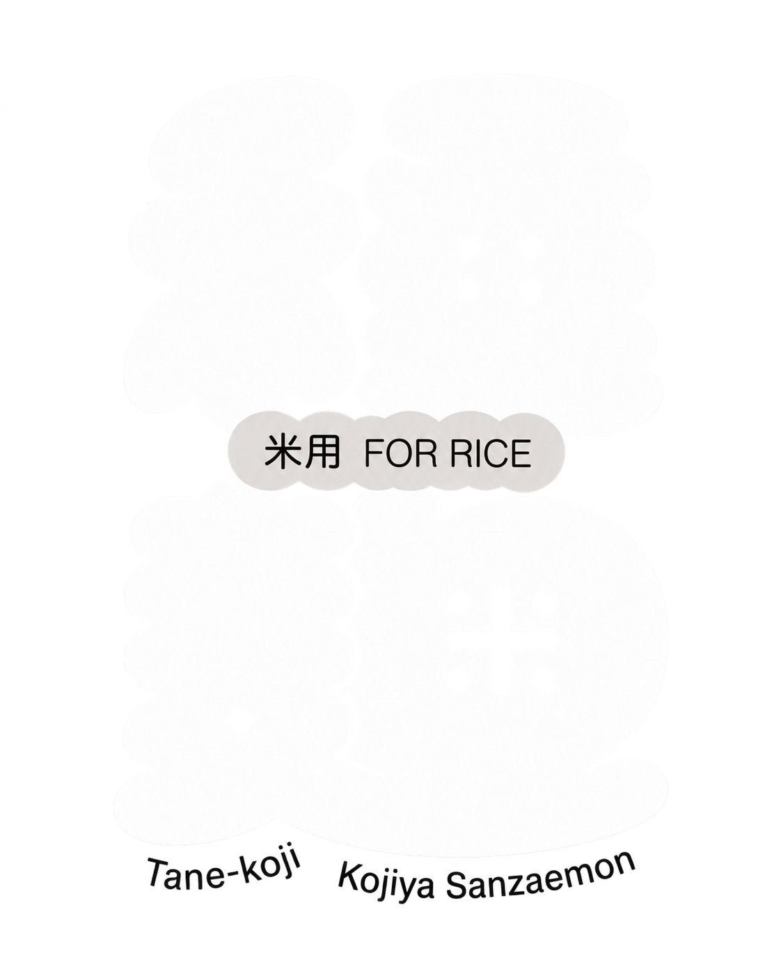 TANE-KOJI FOR RICE — Spore per Koji di Riso 20 g