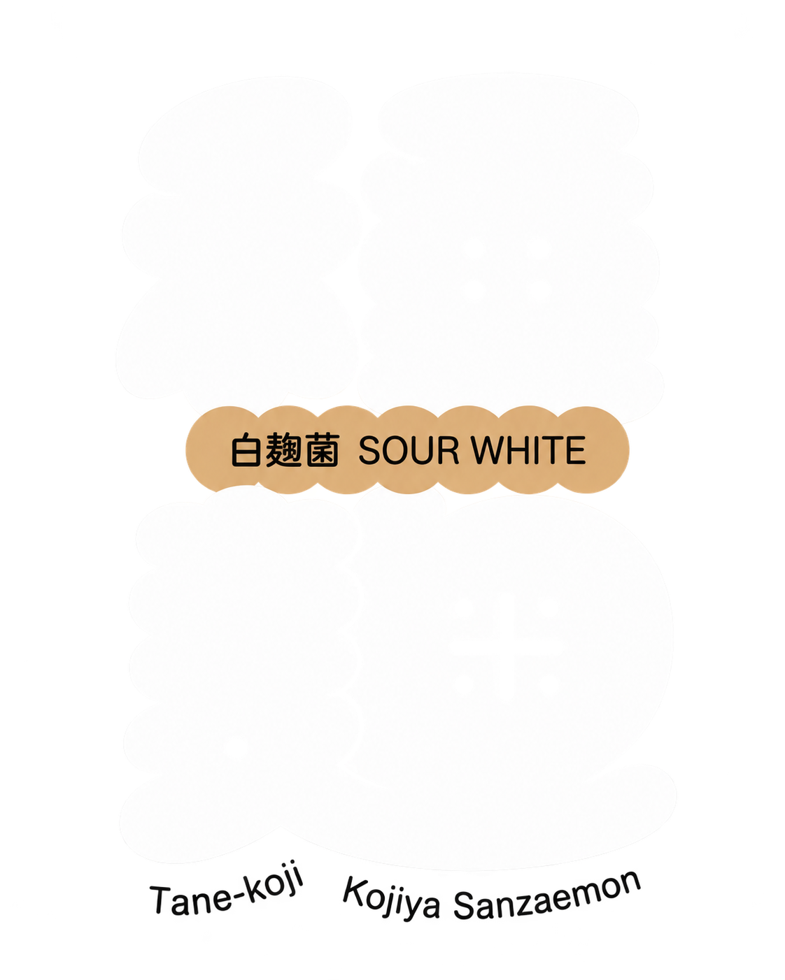 TANE-KOJI SOUR WHITE — White Koji 20 g