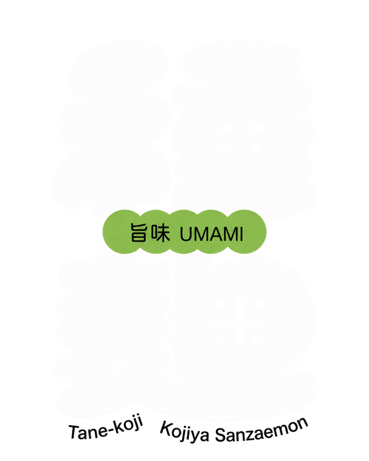 TANE-KOJI UMAMI — Spore ad alta attività proteolitica 20 g