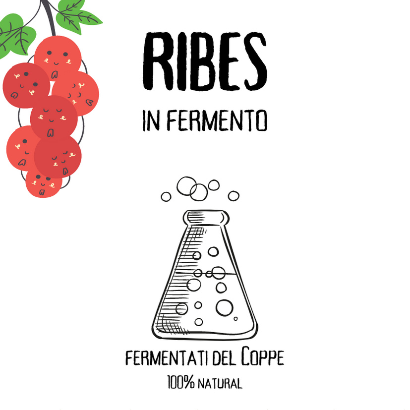 RIBES in fermento